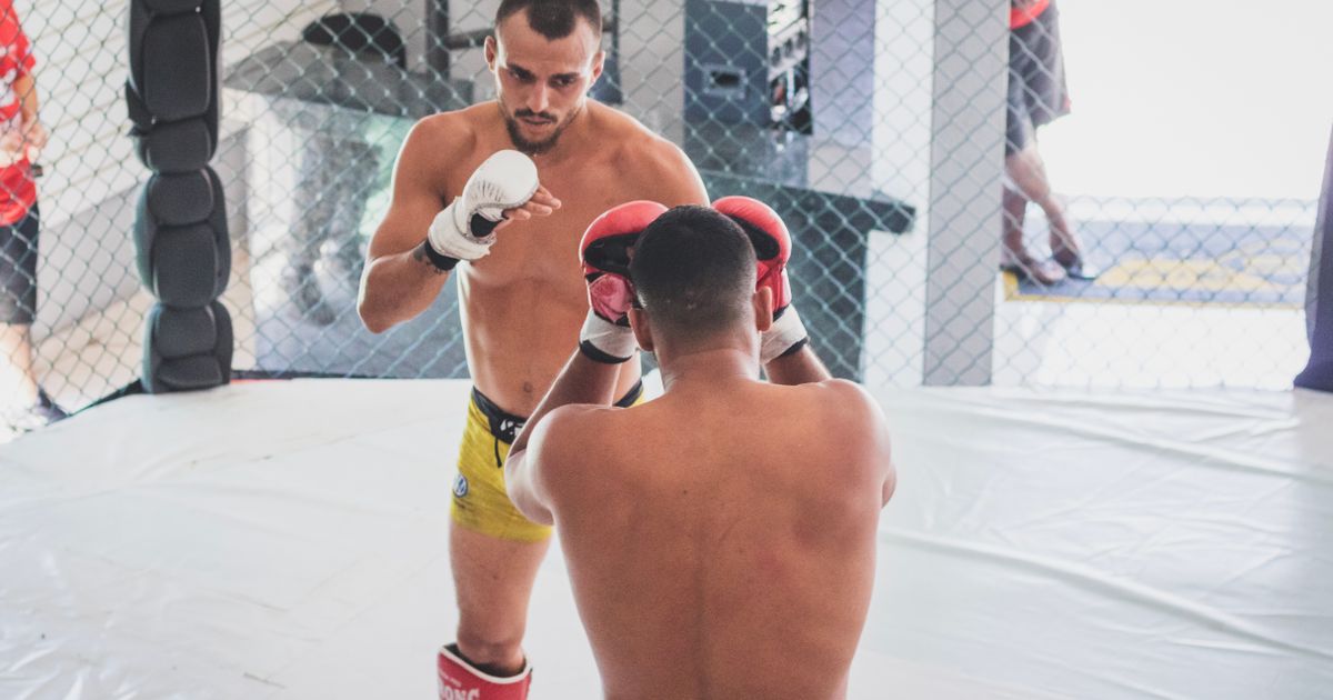 How to watch UFC without pay-per-view - MMA fighters in the cage - BoomTV